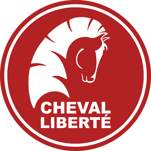 Logo Etape n°2 - Prix CHEVAL LIBERTE