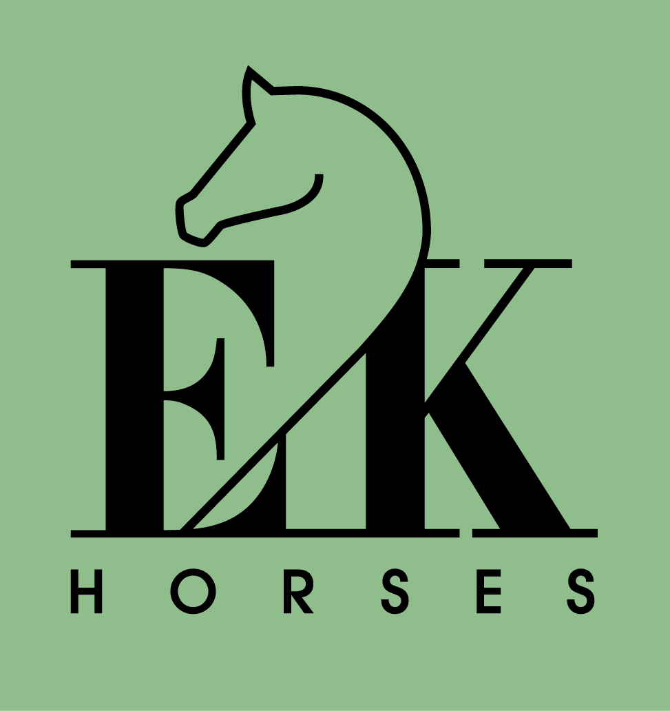 Logo Prix E2K